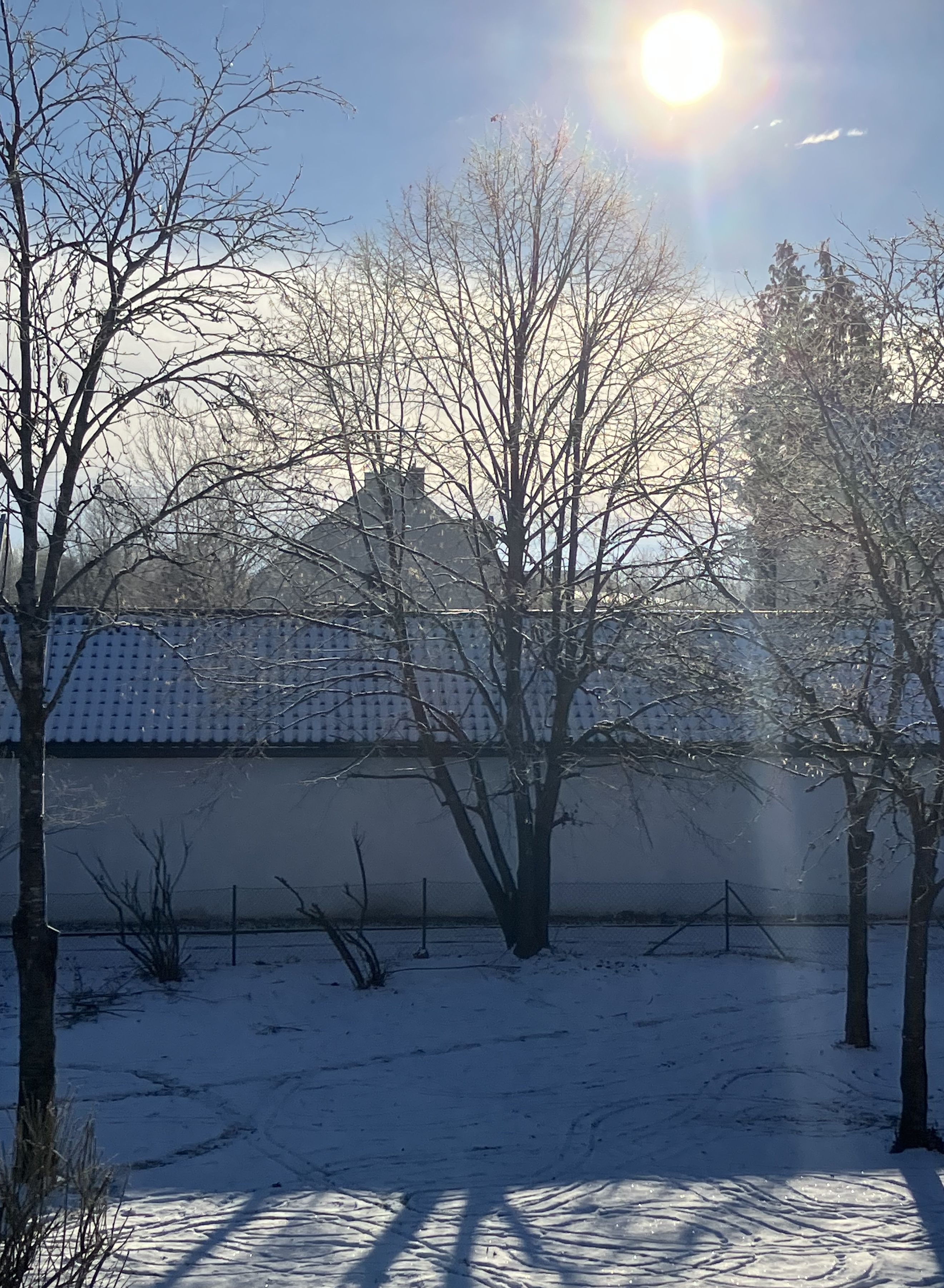 Linde auf dem Spielplatz